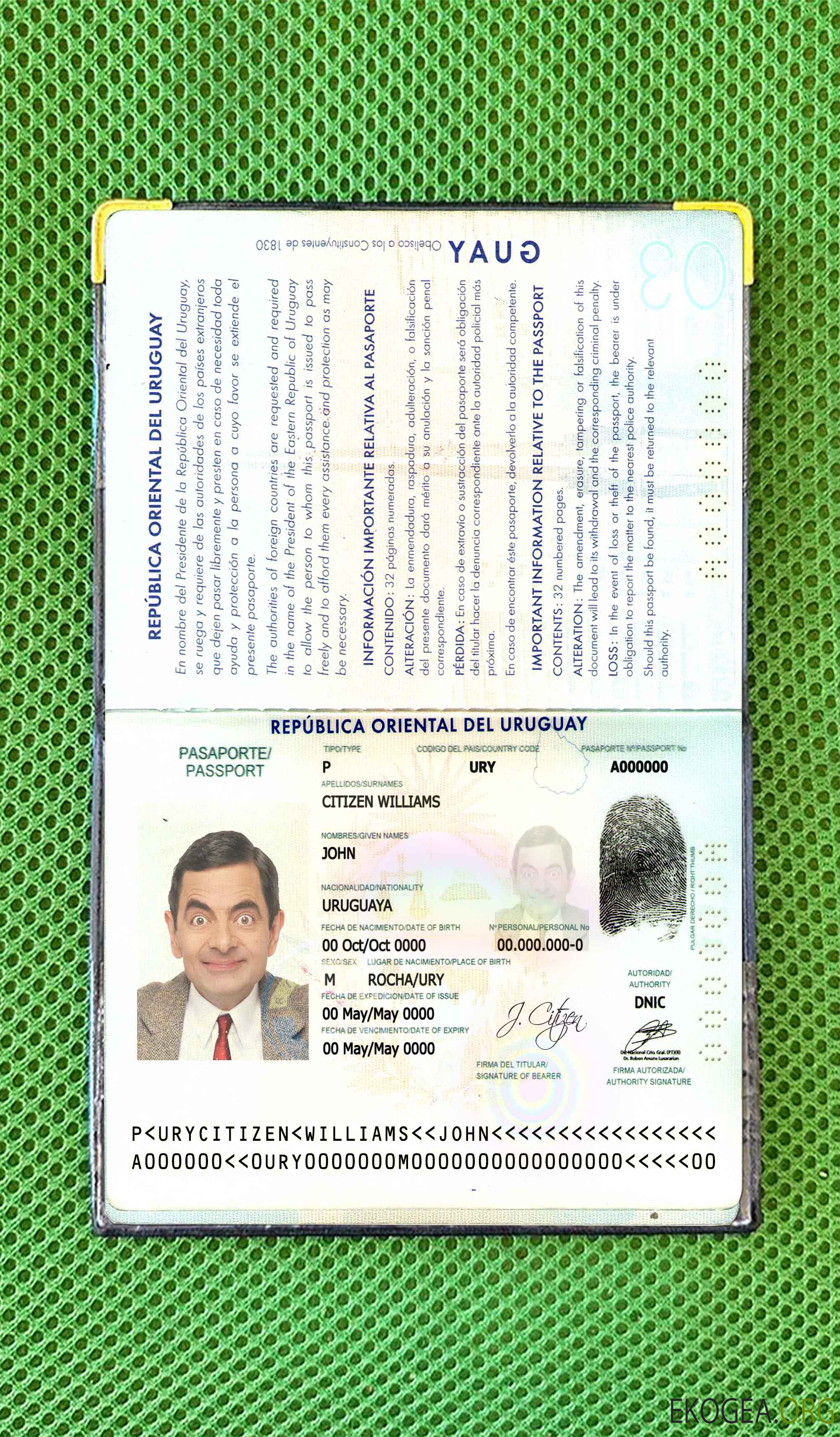Look photo du passeport de l'Uruguay